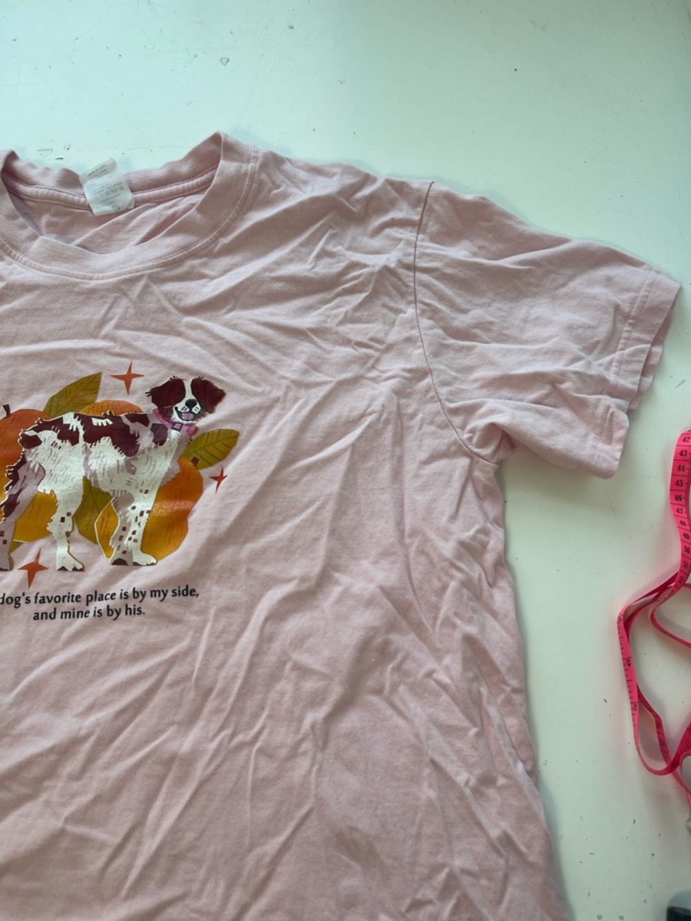 Amazon Medium Pink My Dogs Favorite Place Is By My Side Graphic Short Sleeve T - Picture 2 of 5